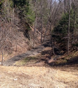 Ravine without Rebecca_edited-1