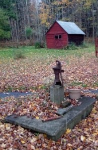 water pump (2)