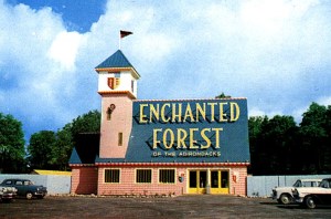 enchanted forest