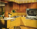 renovationkitchen-3-1966-xlg-95999344